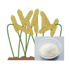 sorghum-flour