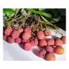 litchi