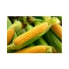 Sweet-Corn
